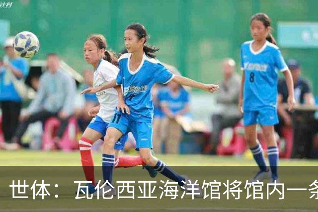 世体：瓦伦西亚海洋馆将馆内一条鲨鱼命名为费兰-托雷斯
