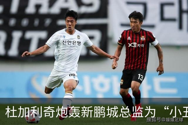 杜加利奇炮轰新鹏城总监为“小丑”：滚回家去吧，你根本不懂足球